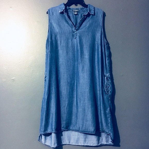 Chelsea & Theodore Dresses & Skirts - Chelsea and Theodore Dress with Pockets Sz 1X